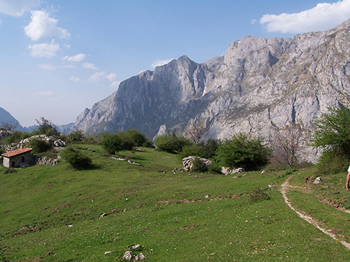 Beyanzo in Amieva