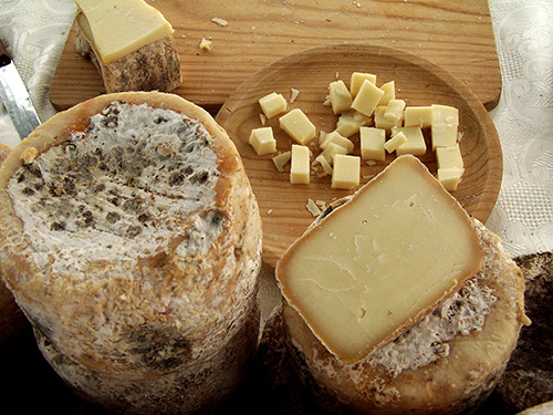 Picos de Europa cheese