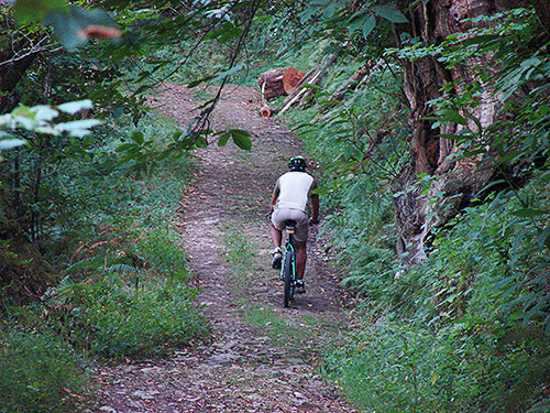 Cycling BTT